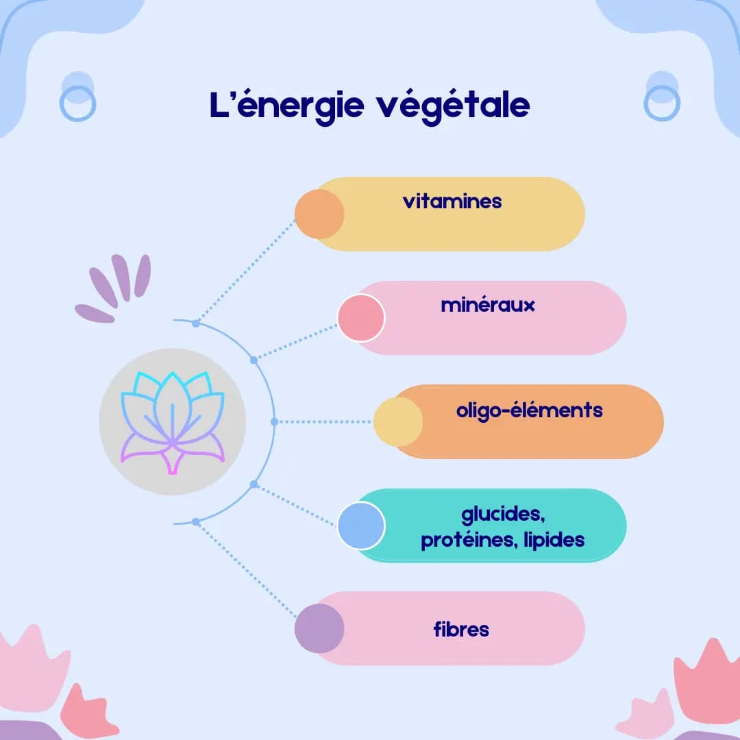 La Puissance de l'Énergie Vitale des Végétaux 