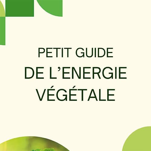 Petit guide de l'énergie végétale